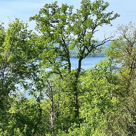 Schlossblick Mit Teilseeblick By Interhome Waldeck (Hessen)